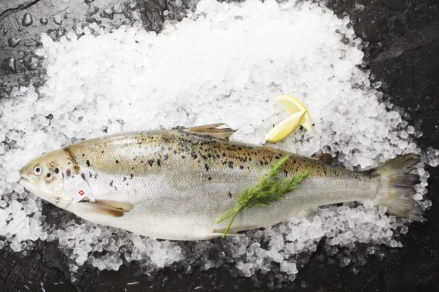 Premium alpine salmon