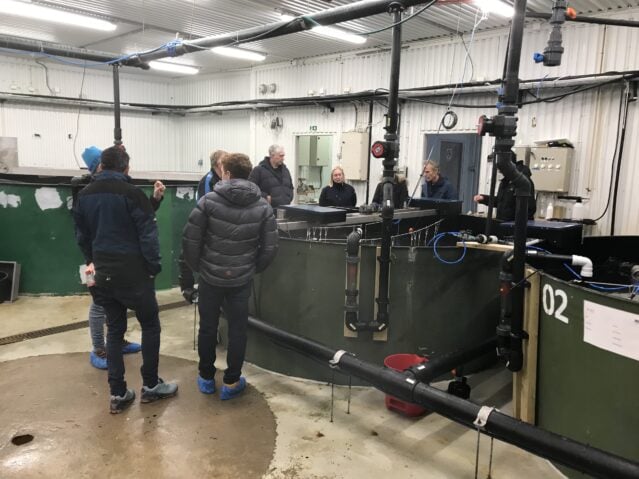 A tour at the leroy vest fish farm at aga, bømlo in norway. Many discussions about challenges and solutions!