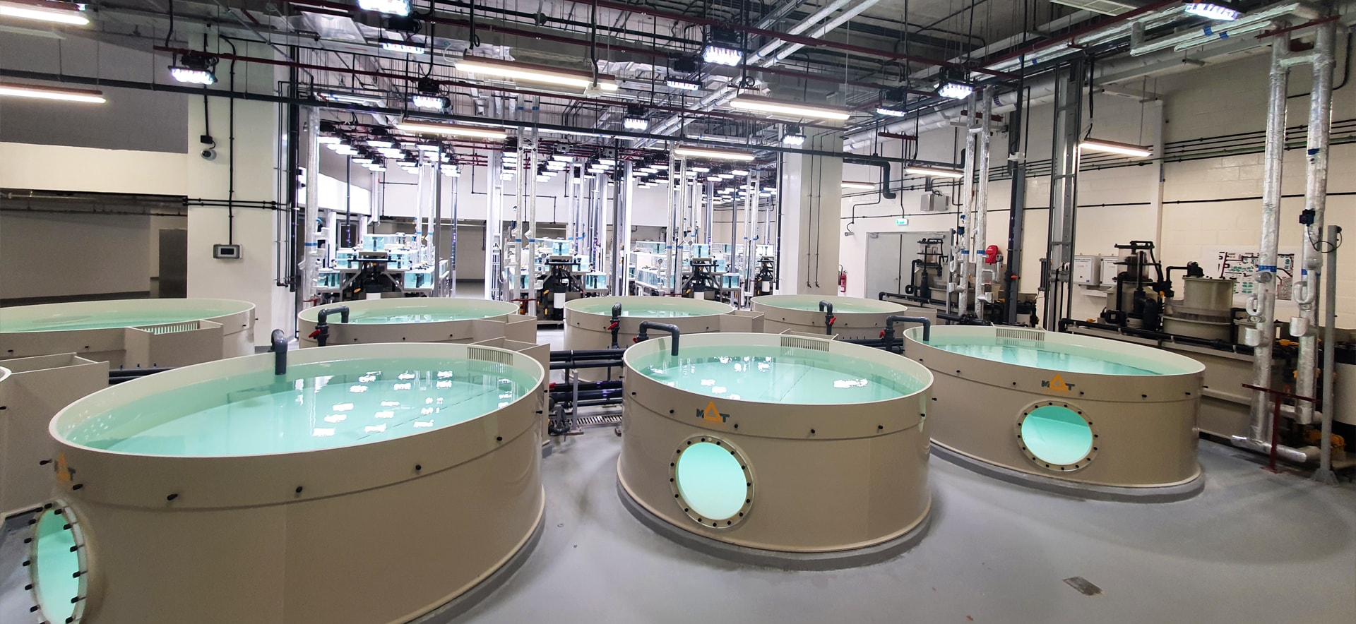 Recirculating aquaculture systems - ras