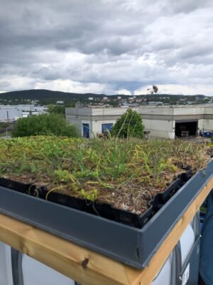 Green Facility Roof